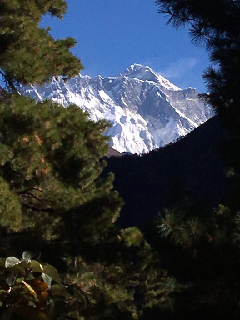 First view of Everest through the trees!